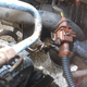 Illustration for article titled RIP oil cooler line 1996-2013